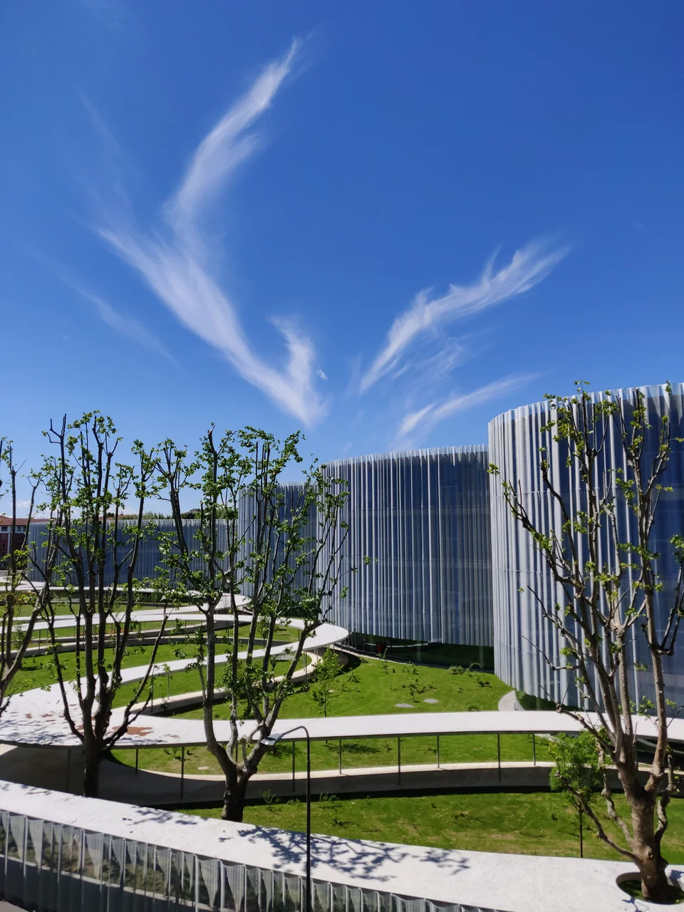 Nowy kampus SANAA Uniwersytetu Bocconi w Mediolanie, z zaokrąglonymi budynkami i zielonym dziedzińcem.